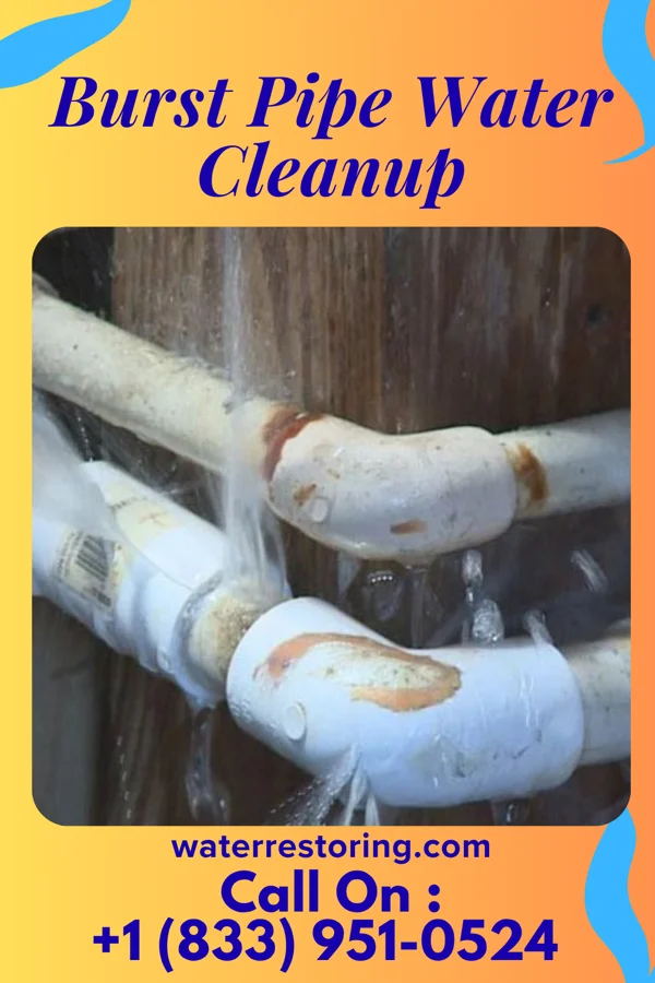 Burst Pipe Water Cleanup in Alma, MI