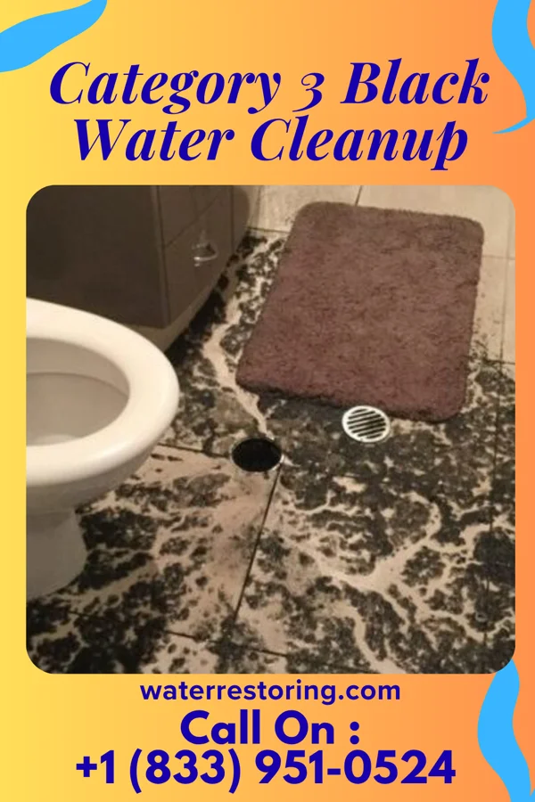 Category 3 Black Water Cleanup in Alma, MI