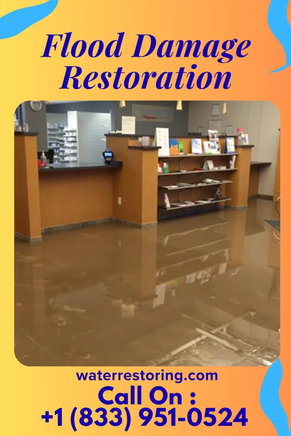 Flood Damage Restoration in Alma, MI