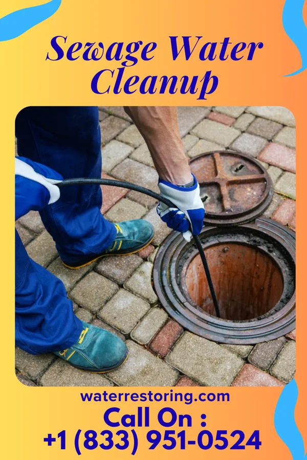 Sewage Water Cleanup in Alma, MI